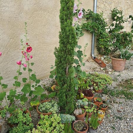 Charmant Logement A La Campagne Gazaupouy Kültér fotó