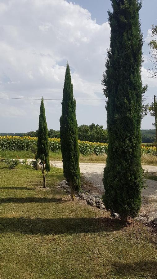 Charmant Logement A La Campagne Gazaupouy Kültér fotó